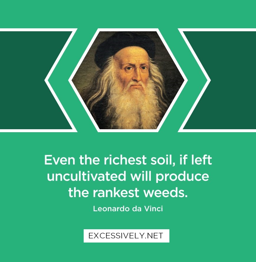 Even the richest soil, if left uncultivated will produce the rankest weeds.
