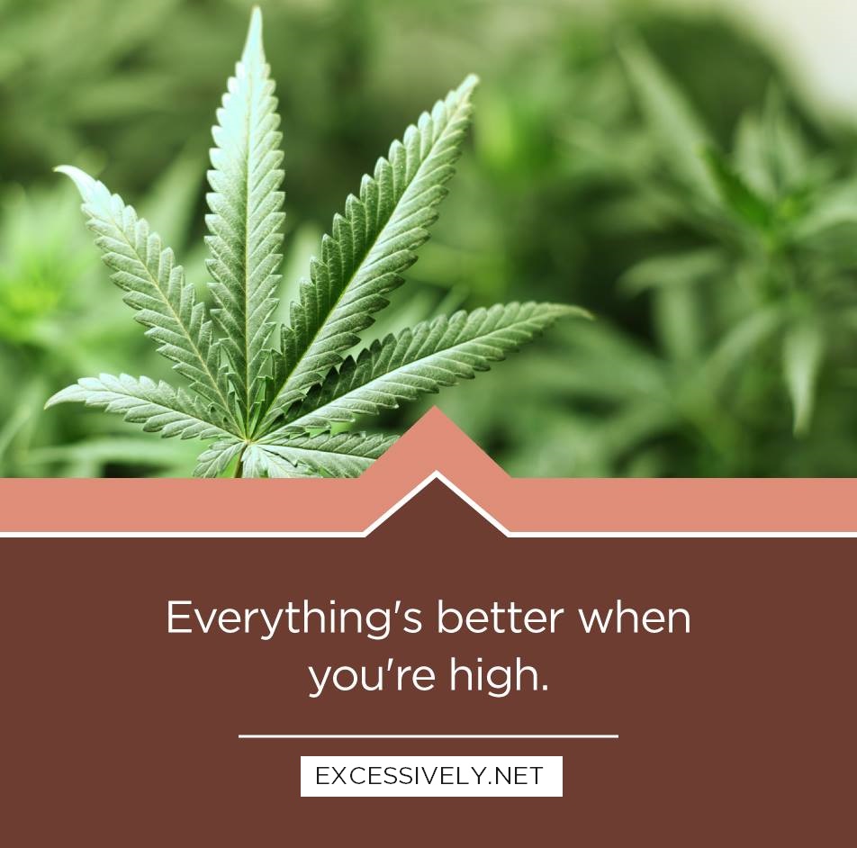 Everything’s better when you’re high.