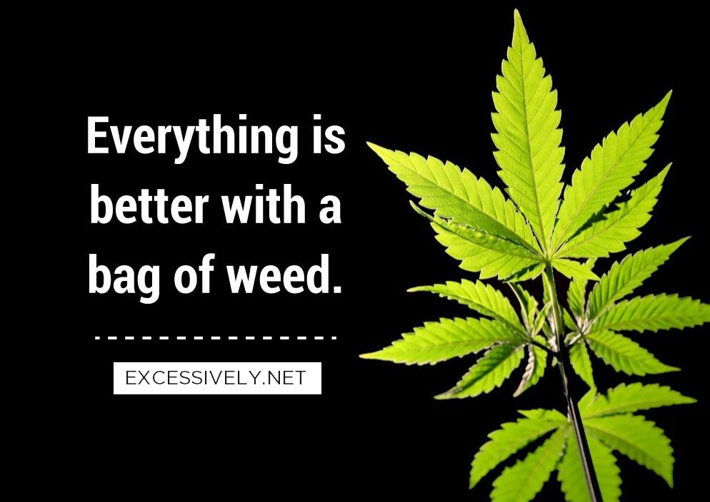 Everything Is Better With A Bag Of Weed.