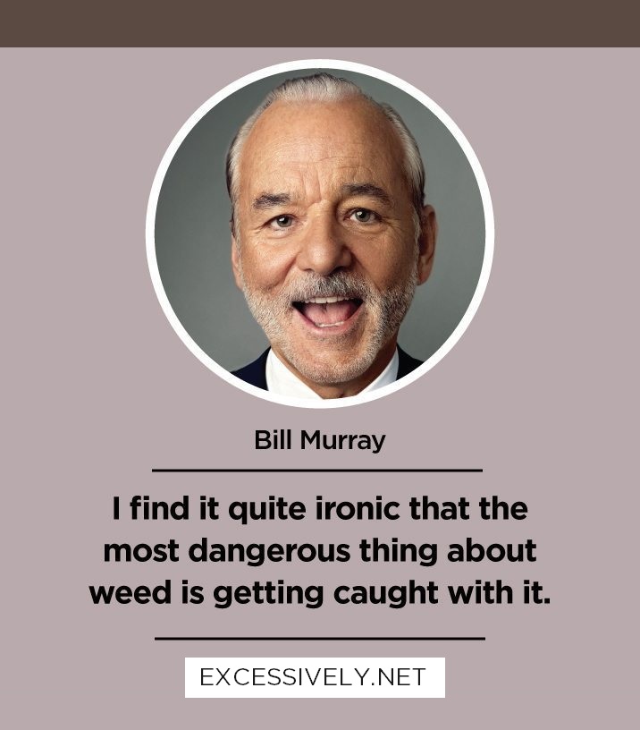 I find it quite ironic that the most dangerous thing about weed is getting caught with it.