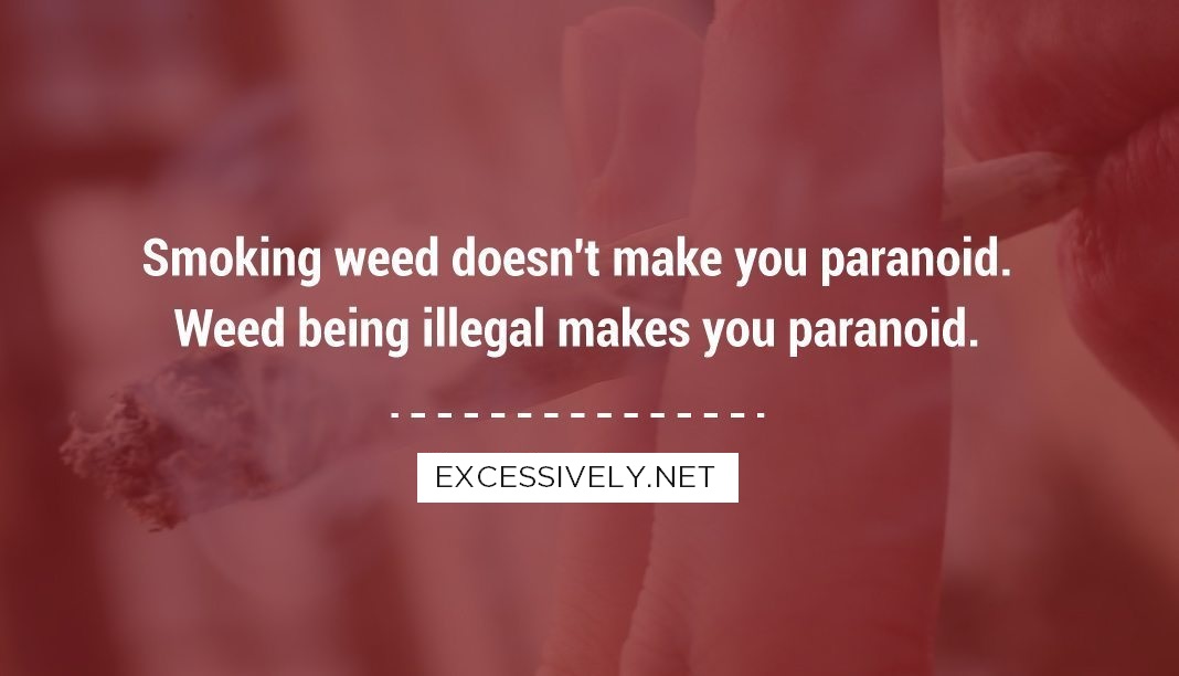 Smoking weed doesn’t make you paranoid. Weed being illegal makes you paranoid.