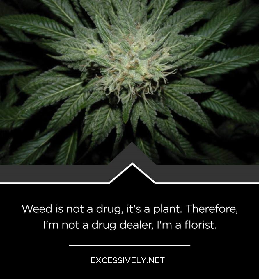 Weed is not a drug, it’s a plant. Therefore, I’m not a drug dealer, I’m a florist