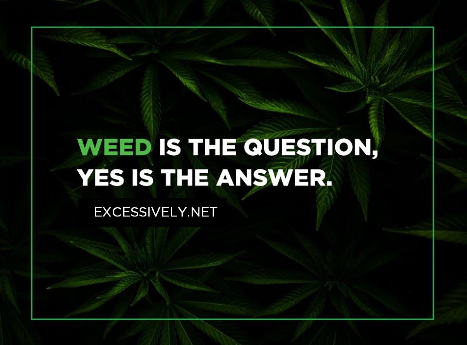 Weed is the question, yes is the answer