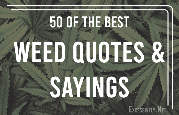 50 of the Best Weed Quotes and Sayings - Excessively